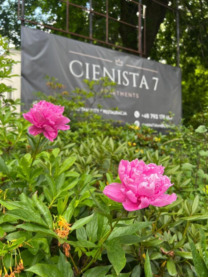 Cienista 7 Apartments Lądek-Zdrój Exterior foto